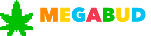 MegabudLogo